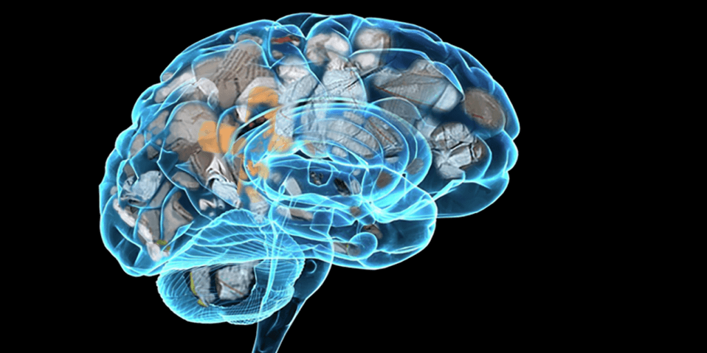 Human Brain Vs. Pharma TV Spots, An Unhealthy Alliance?